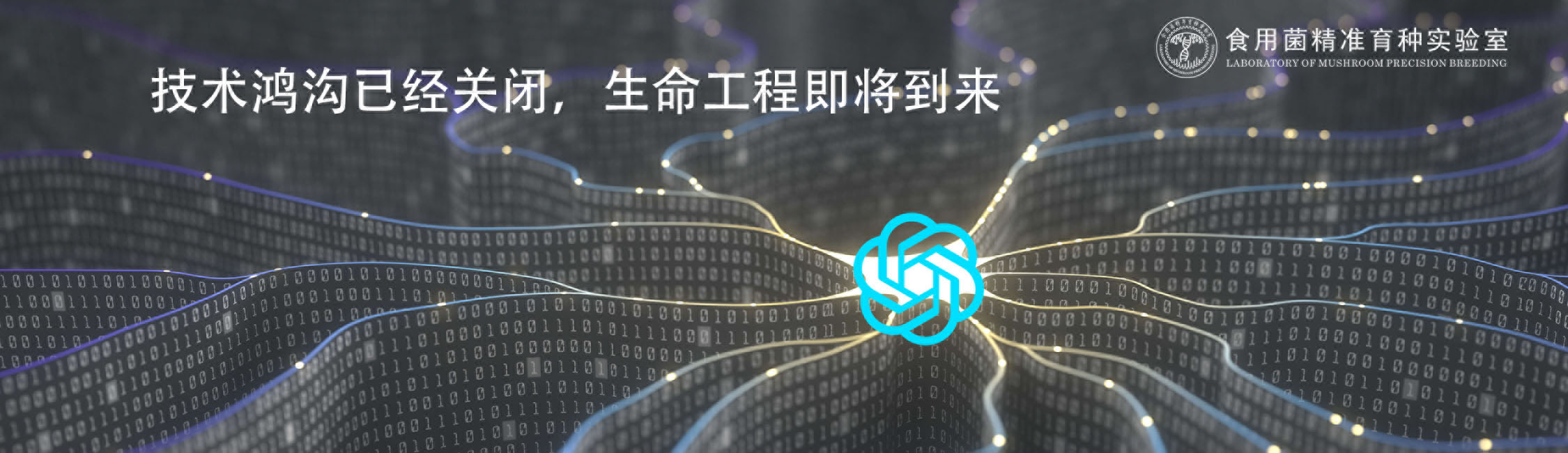 轮播图3