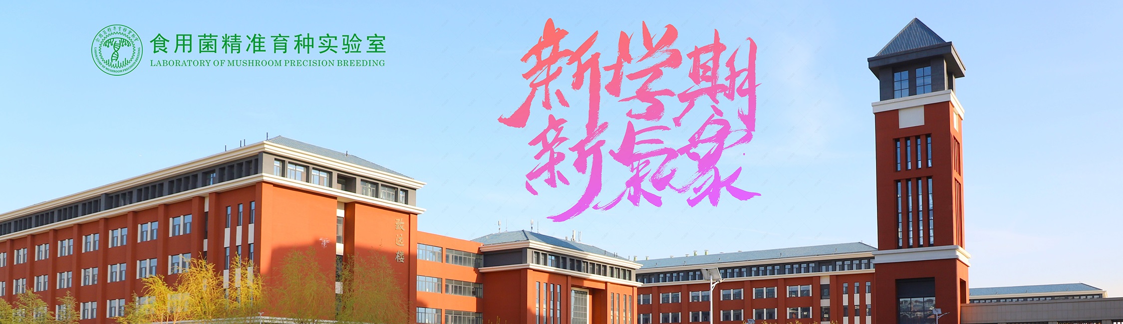 新学期新气象